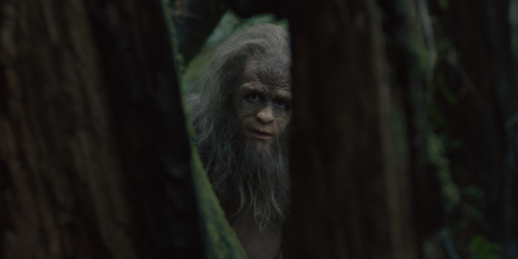 sasquatch sunset steve newburn