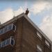 Virginia Film Festival Review: Andrea Arnold’s ‘Bird’ Takes a Surprising Turn