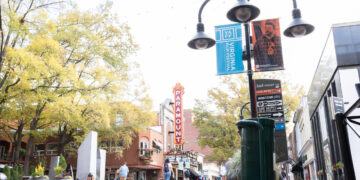 VAFF Winners for 2024: Virginia Names the Best of the Best