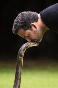 David Blaine kisses a King Cobra on the head.