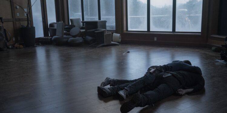 the last of us editor