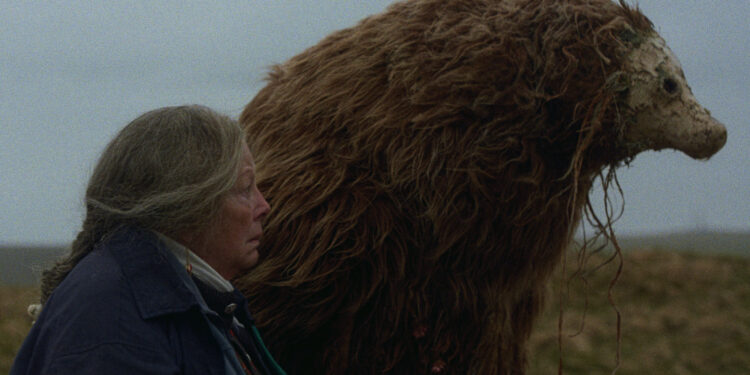 Linden Feng & Hannah Palumbo On Unraveling a Town’s Past and Present with ‘A Bear Remembers’