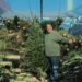 a man stands among christmas trees in The Merchants of Joy christmas tree doc