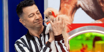 puppy bowl ref dan schachner holds dog