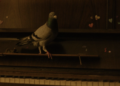 Indy Shorts: ‘The Pigeon’ Mingles Grief and Humor with the Help of an Unexpected Flying Friend