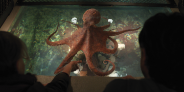 Remarkably Bright Creatures Octopus Marcellus