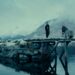 NYFF 2026: Cristian Mungiu’s ‘Fjord’ & Markus Schleinzer’s ‘Rose’ And The Dangers Of Societal Rush To Judgment